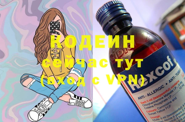 СК Шадринск