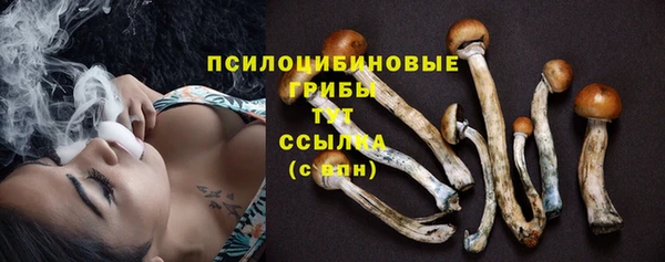 МДПВ Корсаков