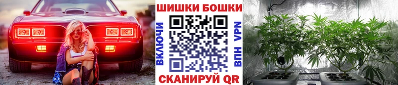 Купить где  Новотроицк  Канабис ГИДРОПОН 